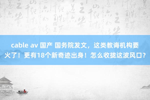 cable av 国产 国务院发文，这类教诲机构要火了！更有18个新奇迹出身！怎么收拢这波风口？