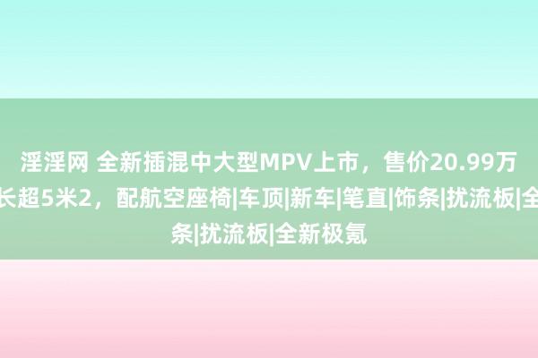 淫淫网 全新插混中大型MPV上市，售价20.99万起，车长超5米2，配航空座椅|车顶|新车|笔直|饰条|扰流板|全新极氪